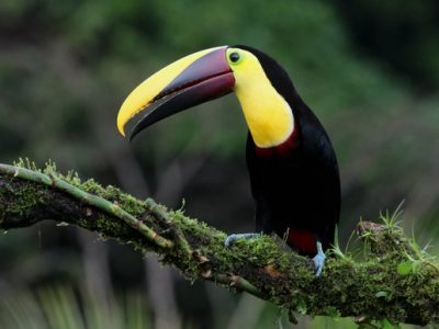 Birdwatching Tour -003