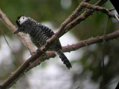 Birdwatching Tour -006