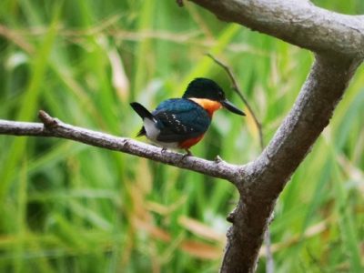 Birdwatching Tour -011