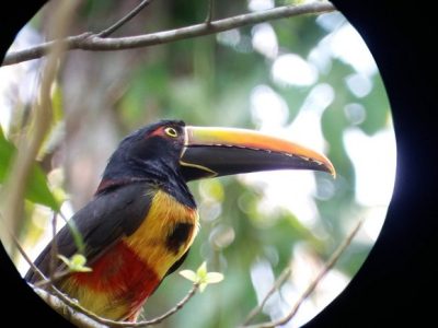 Birdwatching Tour -015