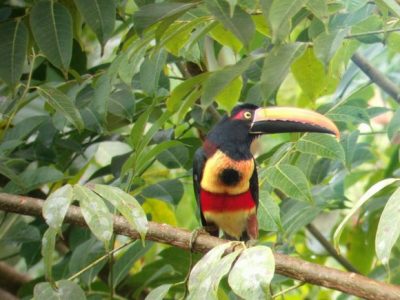 Birdwatching Tour -018