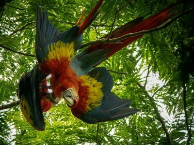 Birdwatching Tour -020