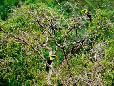 Birdwatching Tour -026