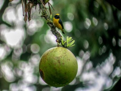 Birdwatching Tour -028