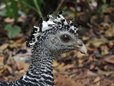 Birdwatching Tour -031