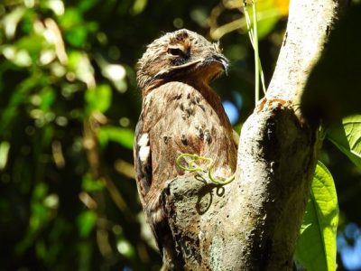 Birdwatching Tour -033