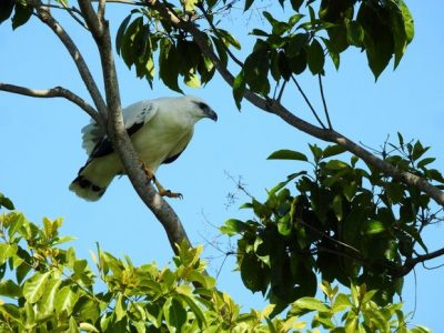 Birdwatching Tour -036