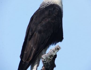 Birdwatching Tour -038