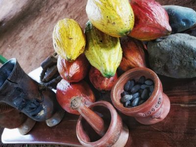 Chocolate Tour Manuel Anonio (17)