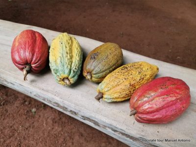 Chocolate Tour Manuel Anonio (18)