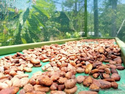 Chocolate Tour Manuel Anonio (2)