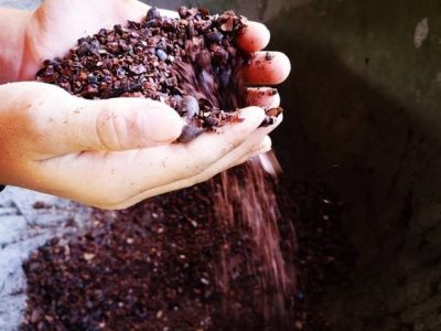 Chocolate Tour Manuel Anonio (24)