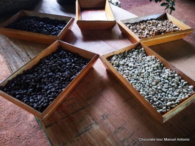 Chocolate Tour Manuel Anonio (29)