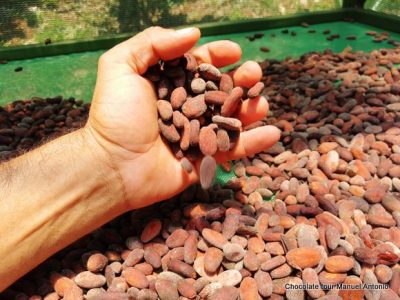 Chocolate Tour Manuel Anonio (5)