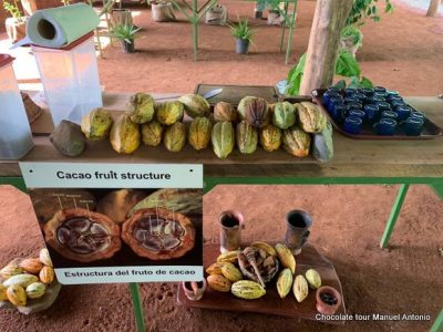 Chocolate Tour Manuel Anonio (9)