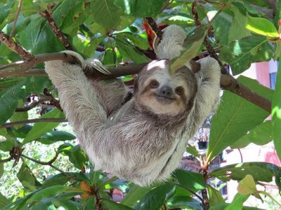 Manuel Antonio National Park-002