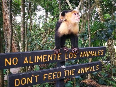 Manuel Antonio National Park-007