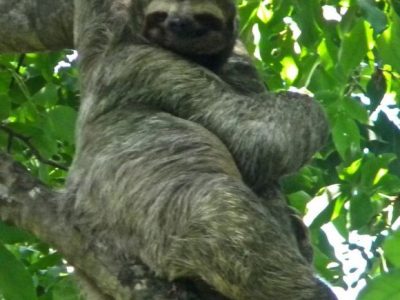 Manuel Antonio National Park-012