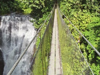 Réserve Los Campesinos - Costa Rica